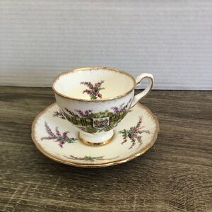 Vtg Royal Stafford Macleod Tartan Series Teacup and Saucer